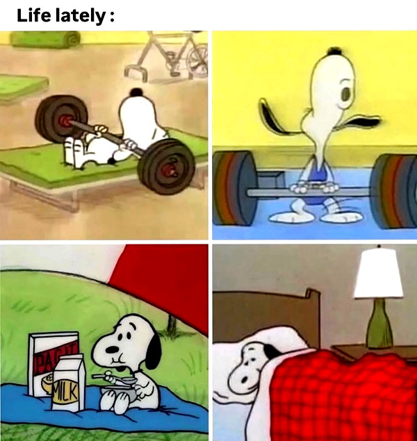 maiden_lifts instagram image archive image