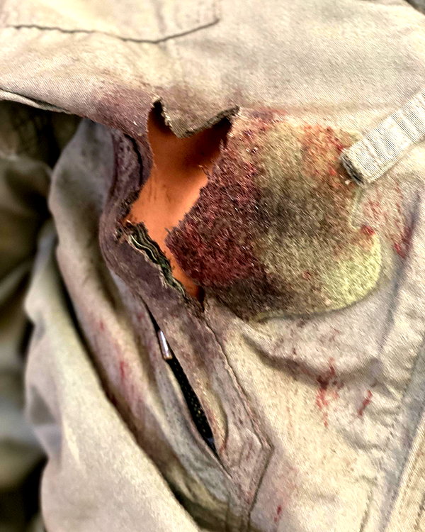 war_hamster6 instagram image archive image
