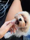 tatianakaer Altpins Profile Picture