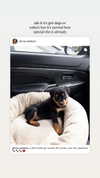 olivia.mathers Altpins Profile Picture