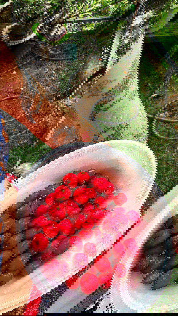 eusandyyh eusandyyh archive image