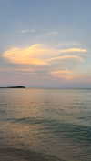 shirakor_ Altpins Profile Picture