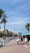 federica.piccinni Altpins Profile Picture