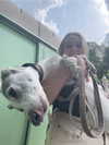 lilih Altpins Profile Picture