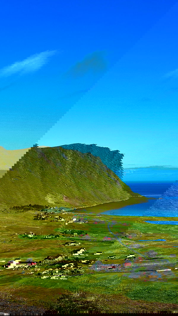 taylor.creeden taylor.creeden archive image