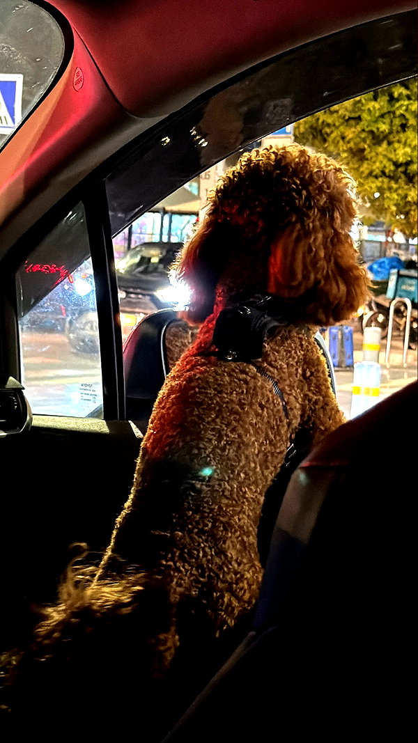 efrat_elmalich instagram image archive image