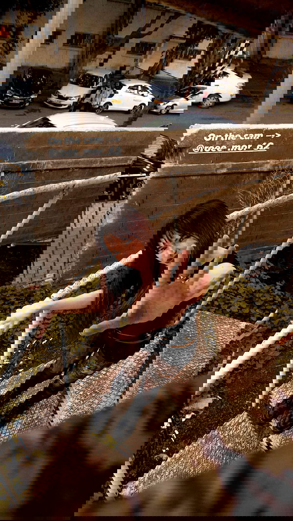 roee_mor_62 roee_mor_62 archive image