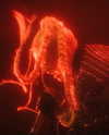 xtina Altpins Profile Picture