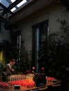 alishevs Altpins Profile Picture