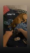 eva.6stuma.com6 Altpins Profile Picture