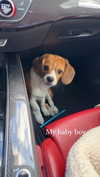 kyla.doddsss Altpins Profile Picture