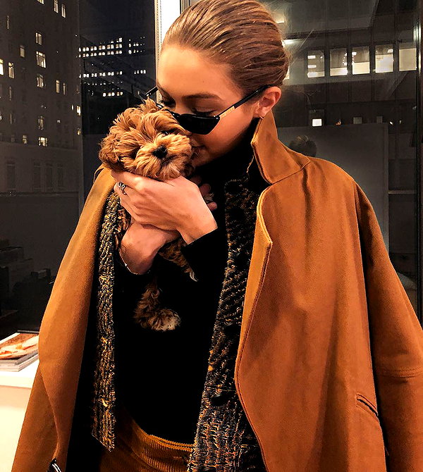 gigihadid instagram image archive image