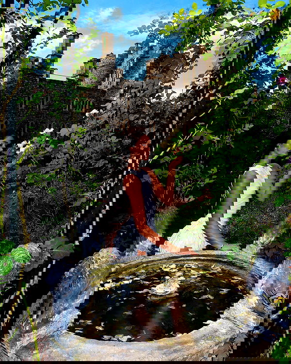 taylor.creeden taylor.creeden archive image