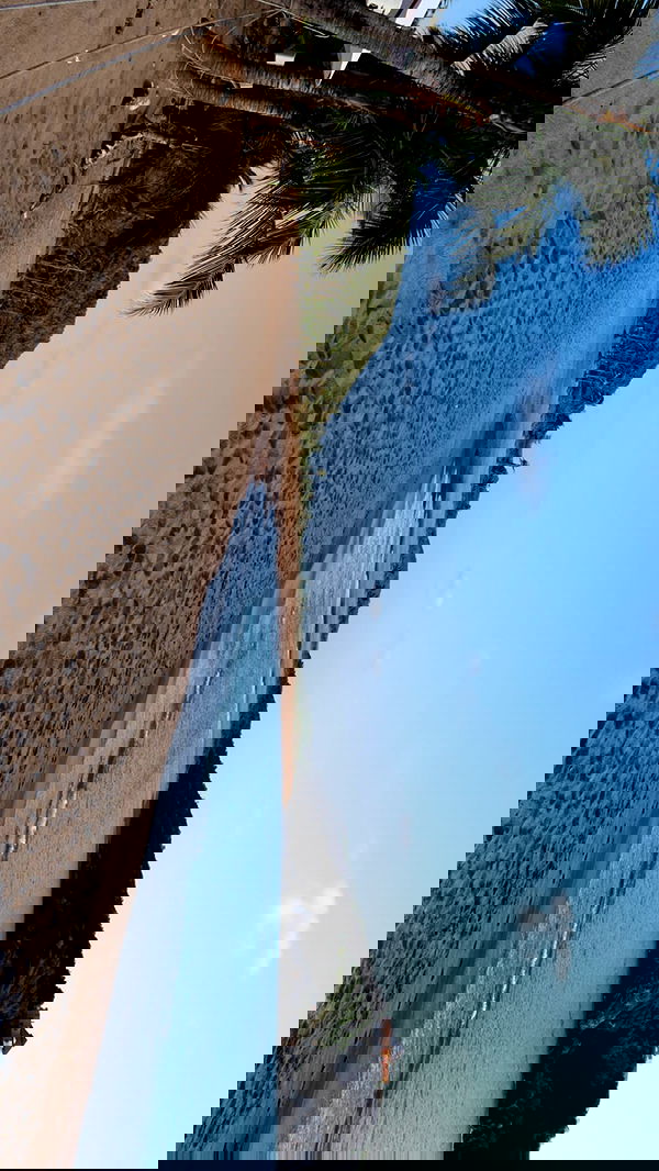 taylor.creeden taylor.creeden archive image