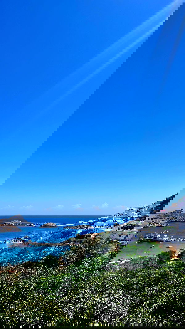 yeela__ yeela__ archive image