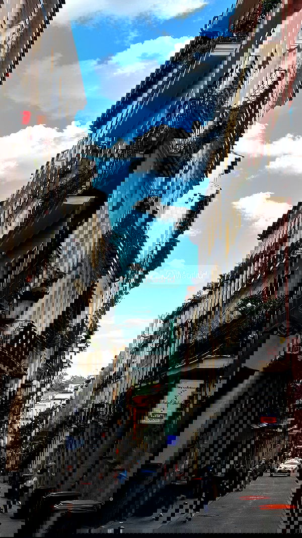 taylor.creeden taylor.creeden archive image