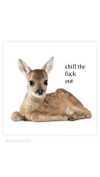 babynympho_archive Altpins Profile Picture
