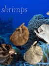 machine_mommy Altpins Profile Picture