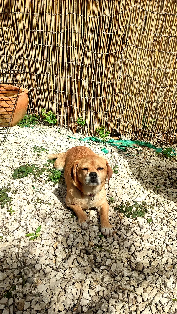 alma.almog instagram image archive image