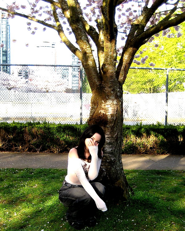 irlwin archive image