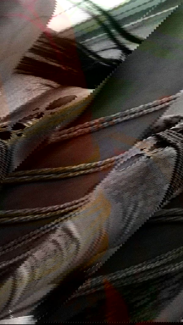 zommmbri zommmbri archive image