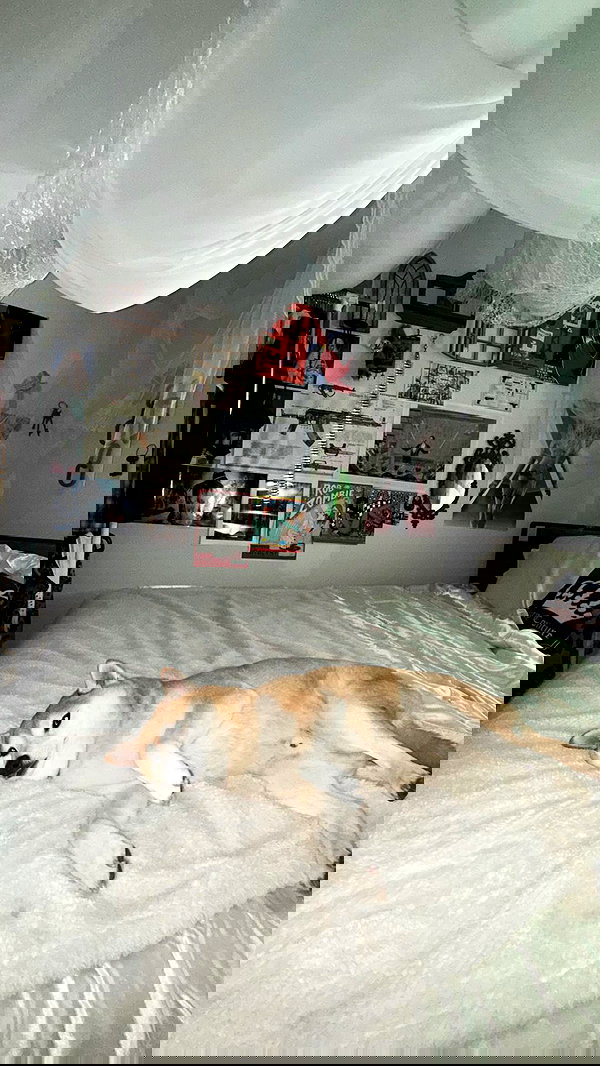 zommmbri zommmbri archive image