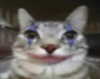 purin4a Altpins Profile Picture