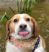 gisellelee8 Altpins Profile Picture