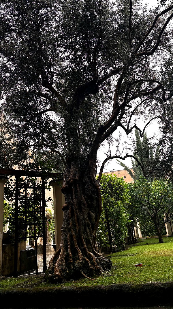 hikattti instagram image archive image
