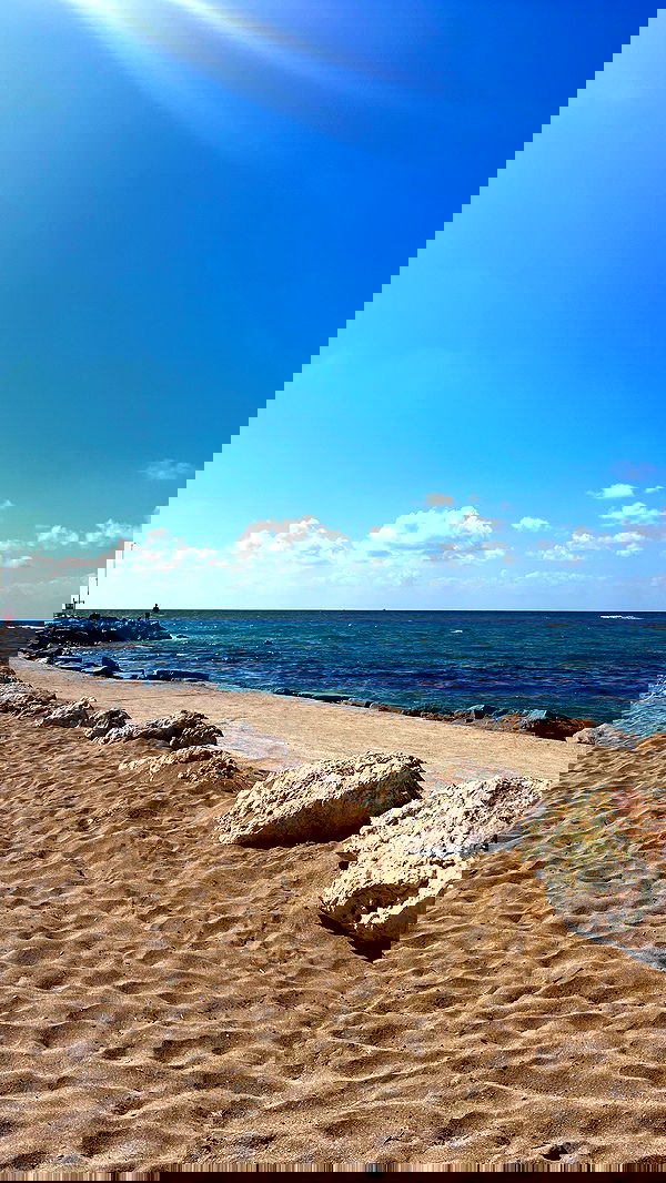 noammalka___ noammalka___ archive image