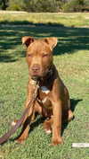 olivia.mathers Altpins Profile Picture
