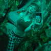 pipssqueakss Altpins Profile Picture