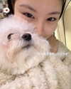 ll.lu1s Altpins Profile Picture