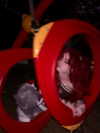 astarwbry_ Altpins Profile Picture