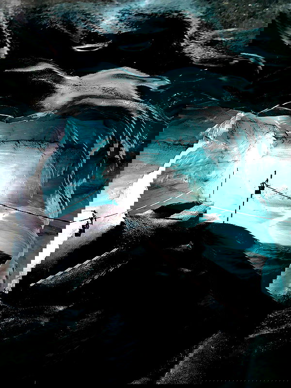 taylor.creeden taylor.creeden archive image