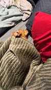 frecklesalanna Altpins Profile Picture