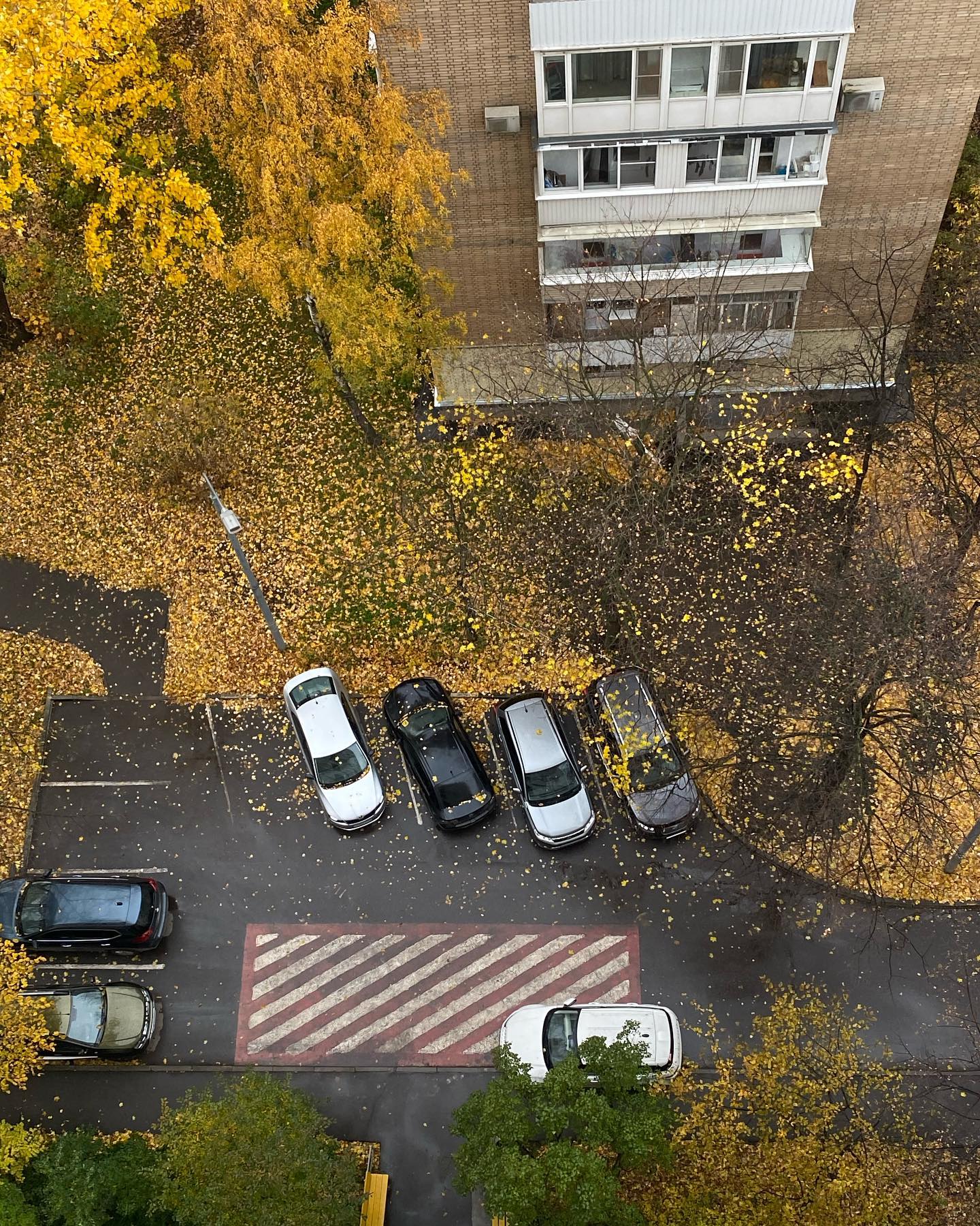 kkulakovaa instagram image archive image