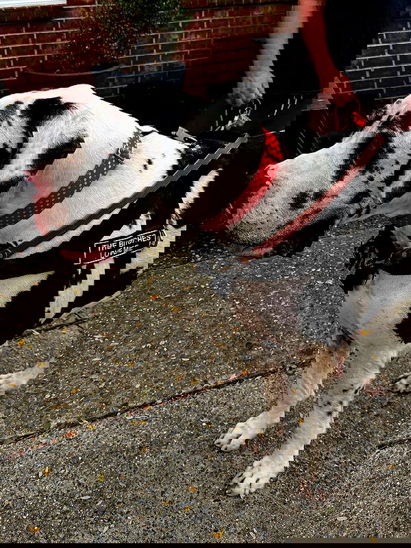 taylor.creeden taylor.creeden archive image