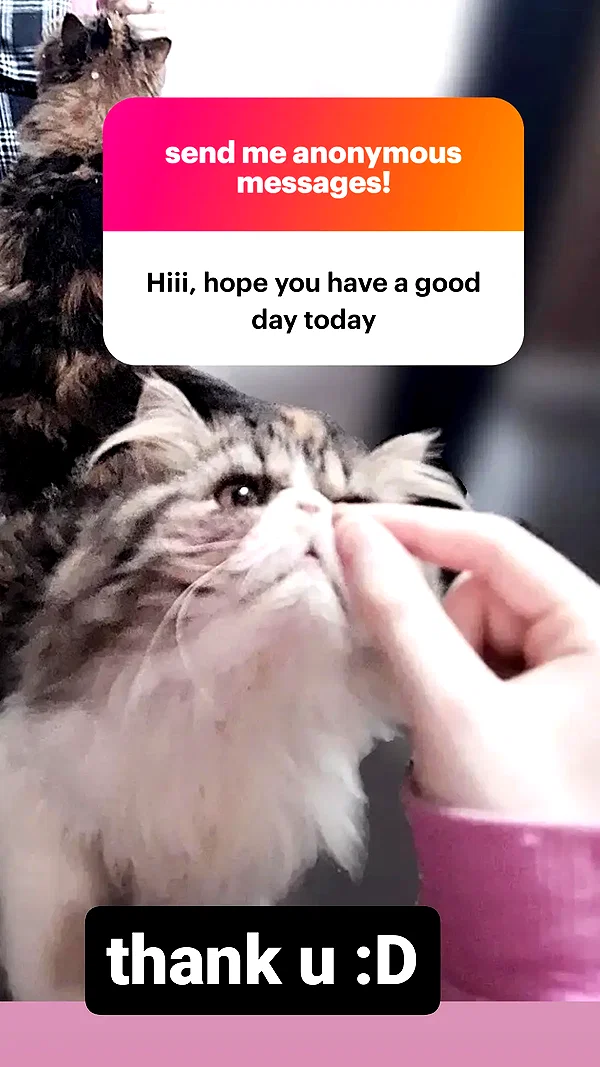 mirekyarahire instagram image archive image