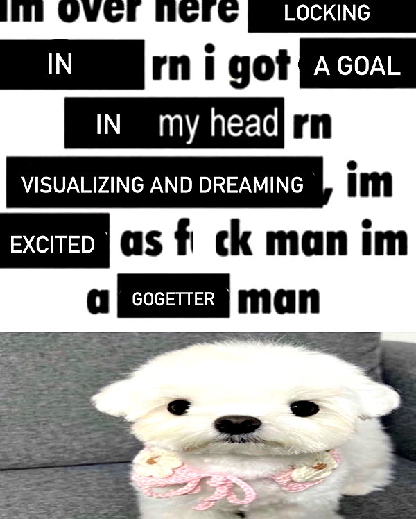 grogusmami instagram image archive image