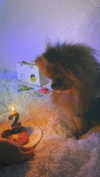 kristti.a Altpins Profile Picture
