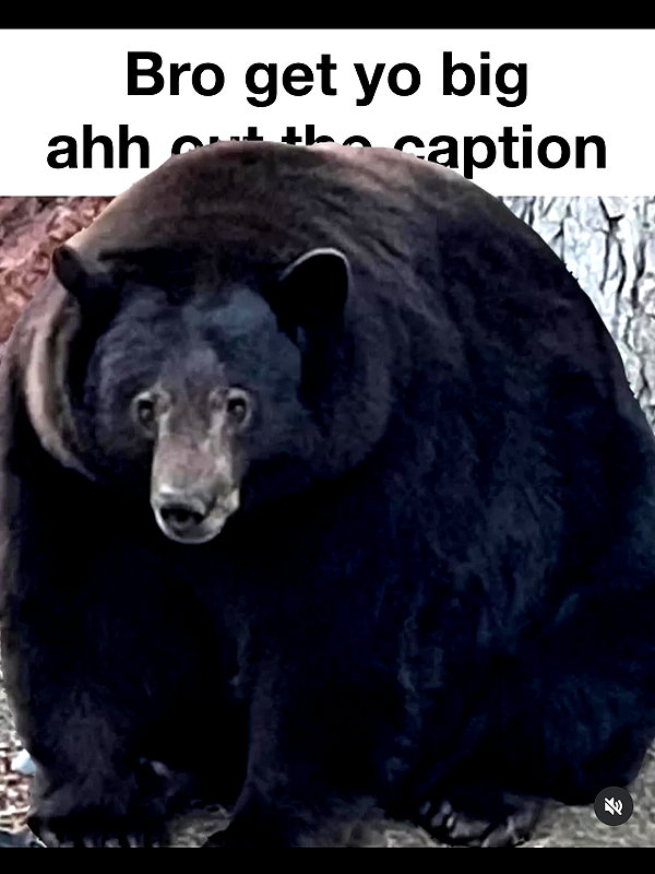 leanbeefpatty instagram image archive image