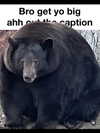 leanbeefpatty Altpins Profile Picture