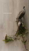 milena_milachich Altpins Profile Picture