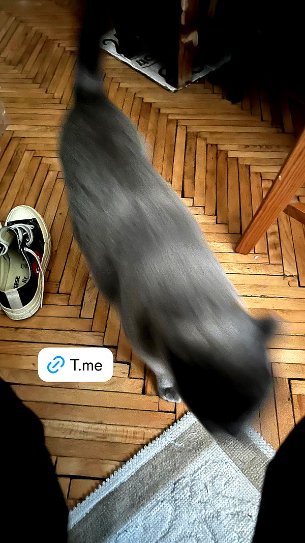 mollygirl1317 instagram image archive image