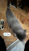 mollygirl1317 Altpins Profile Picture