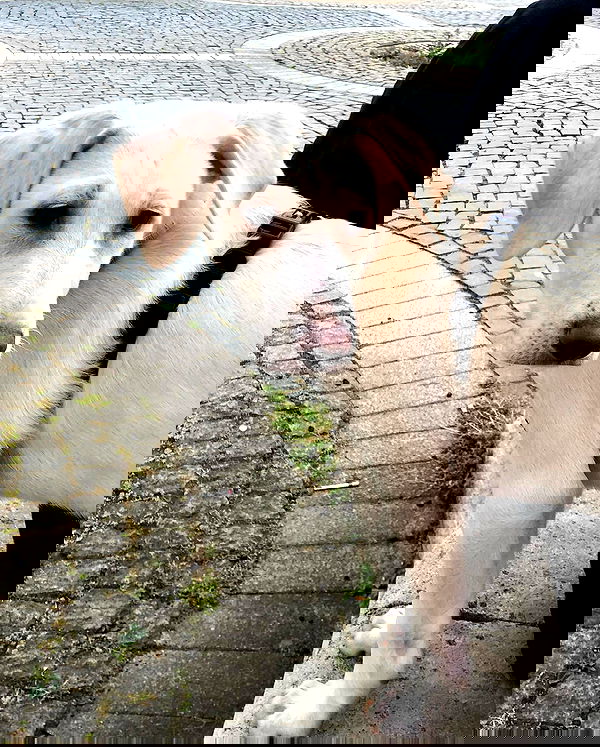 m1chelleluna m1chelleluna archive image