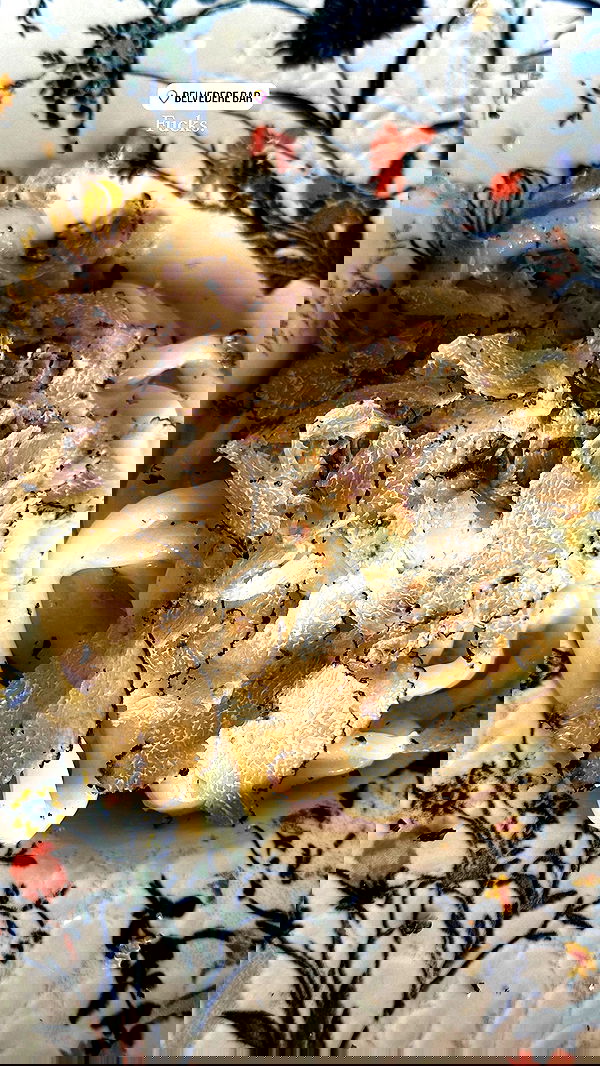 taylor.creeden taylor.creeden archive image