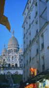 cristeldiiulio Altpins Profile Picture