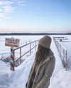 lerkamiill Altpins Profile Picture